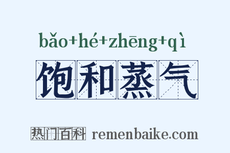 饱和蒸气是什么意思的图片